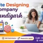 Website Designing Company Chandigarh – Build a Powerful Online Presence for Your Business